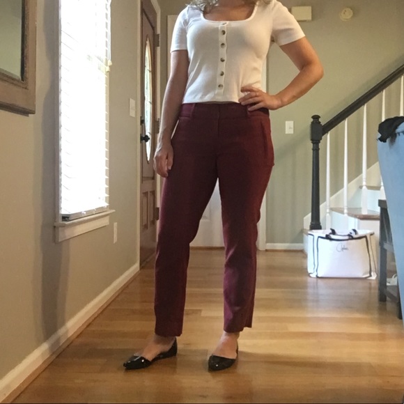 The Limited Red Petite Pants - Picture 14 of 16